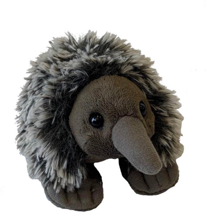 WILD POCKETKINS ECHIDNA