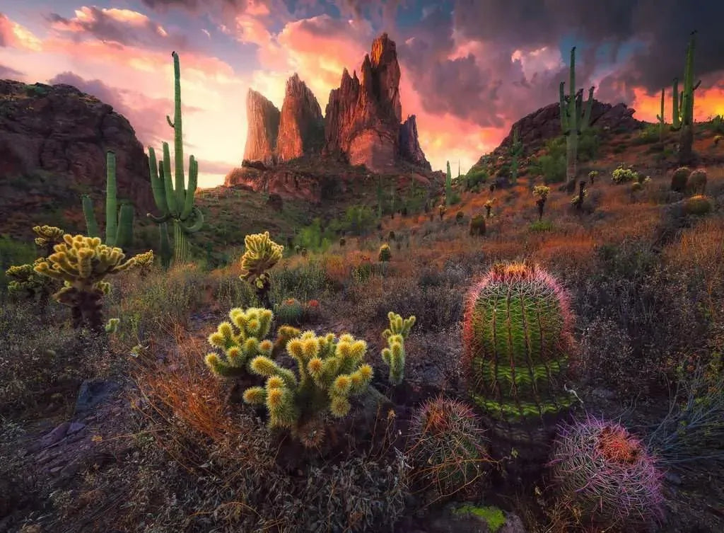 PUZZLE 500PC CACTUS