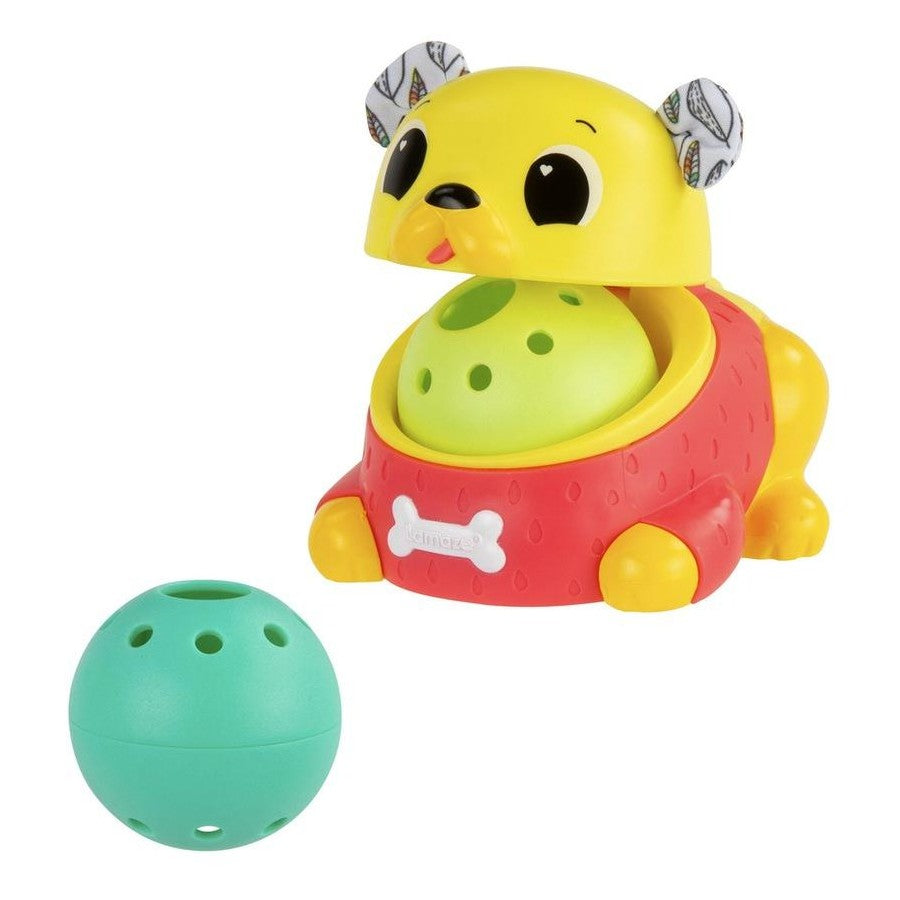 LAMAZE CRAWL & CHASE PUG POPPER