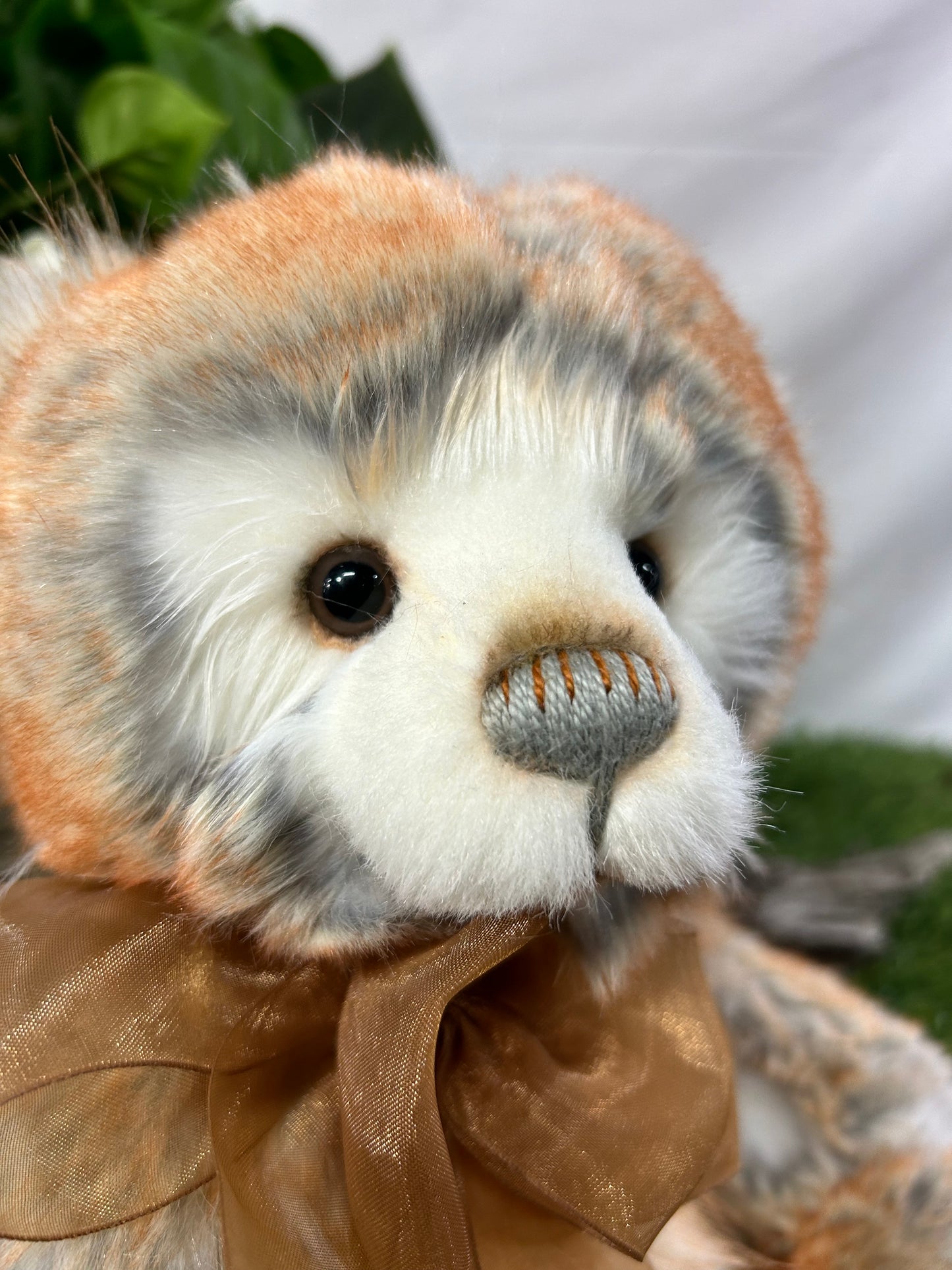CHARLIE BEAR RHYS