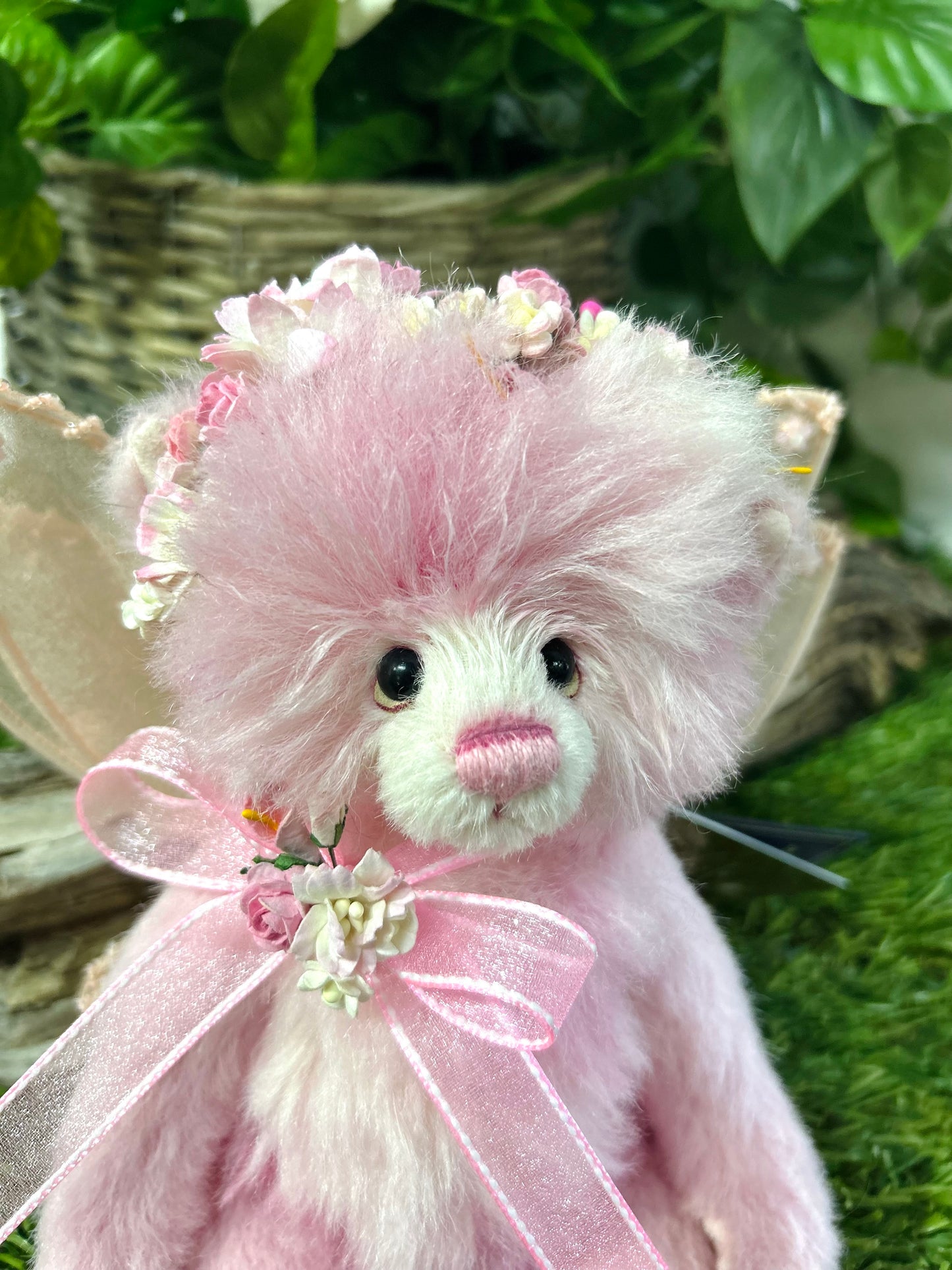 ISABELLE COLLECTION ELSIE