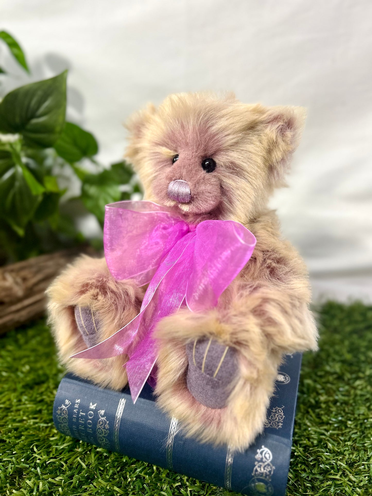 2025 CHARLIE BEARS THURSDAY