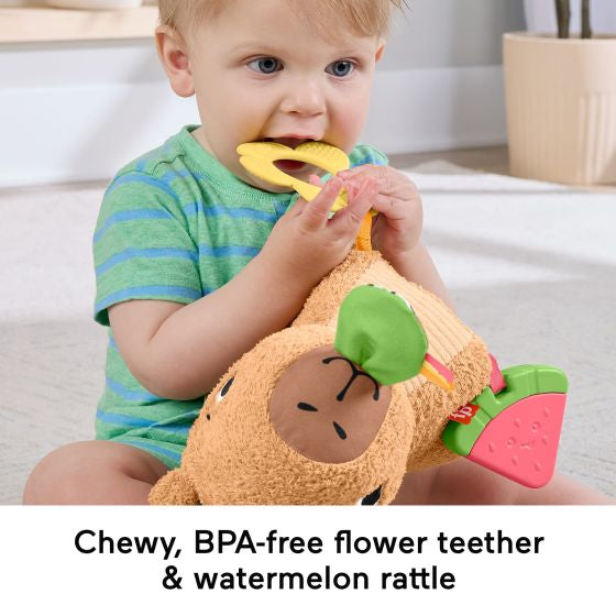 F/P SENSIMALS SNUGGLY SNACKY CAPY