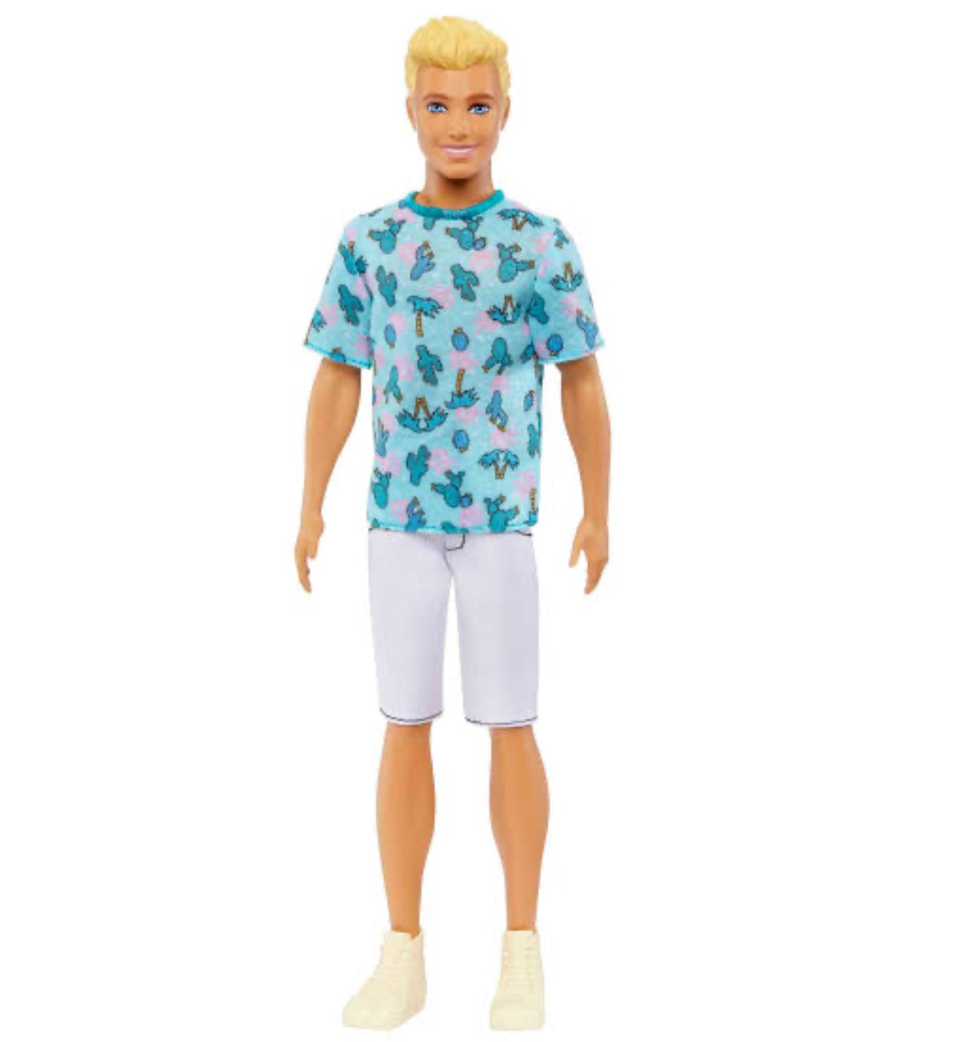 BRB FASHIONISTAS BOY DLX ASTD