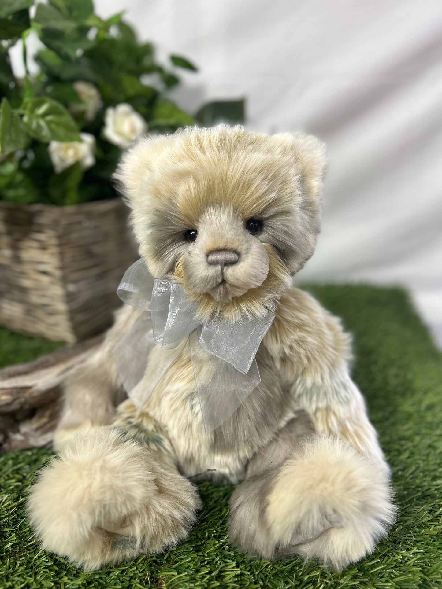 CHARLIE BEAR EDYTA