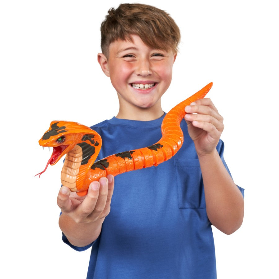 ROBO ALIVE COBRA