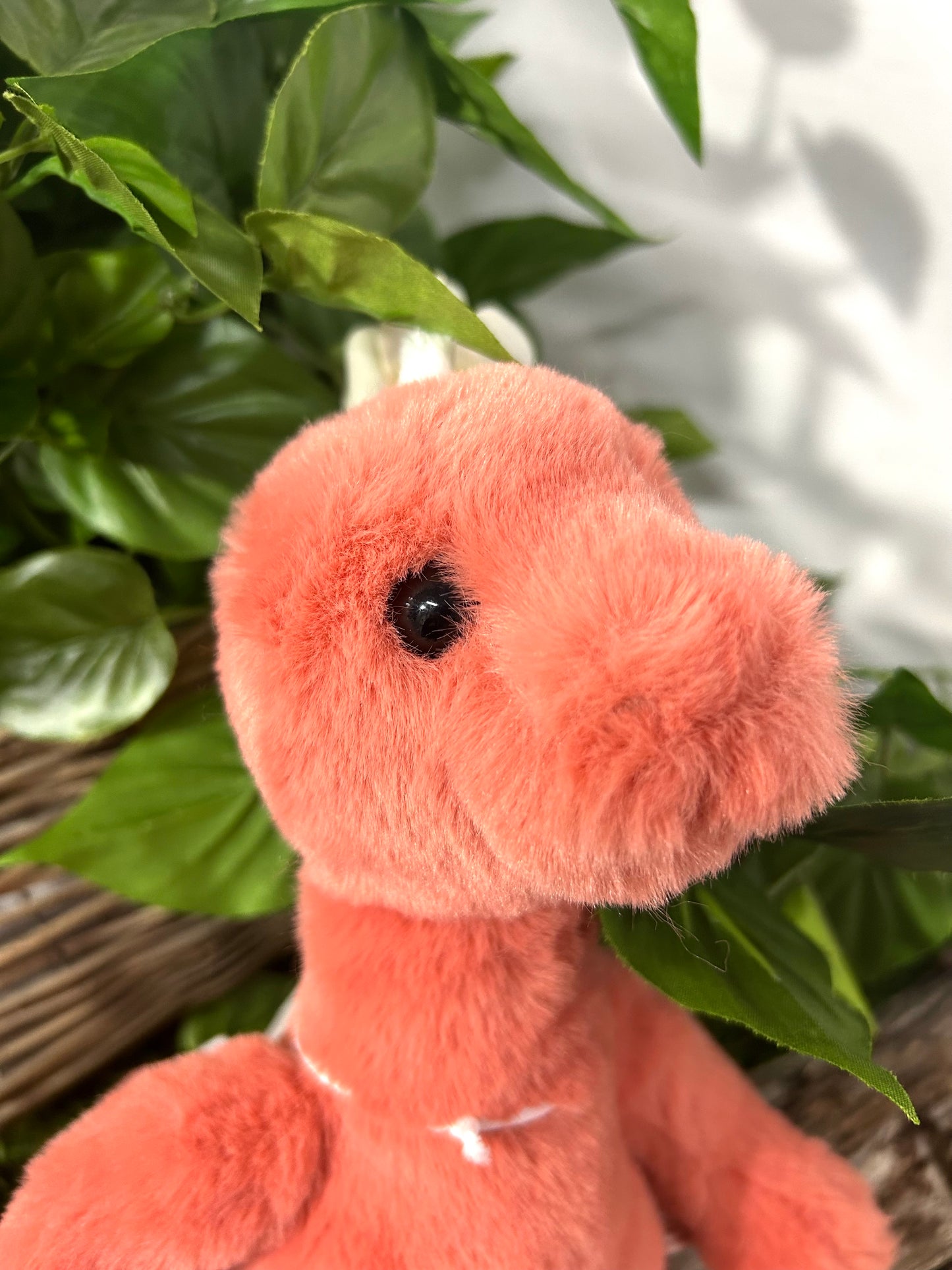 CB BEAR & ME STEVIE STEGOSAURUS ORANGE