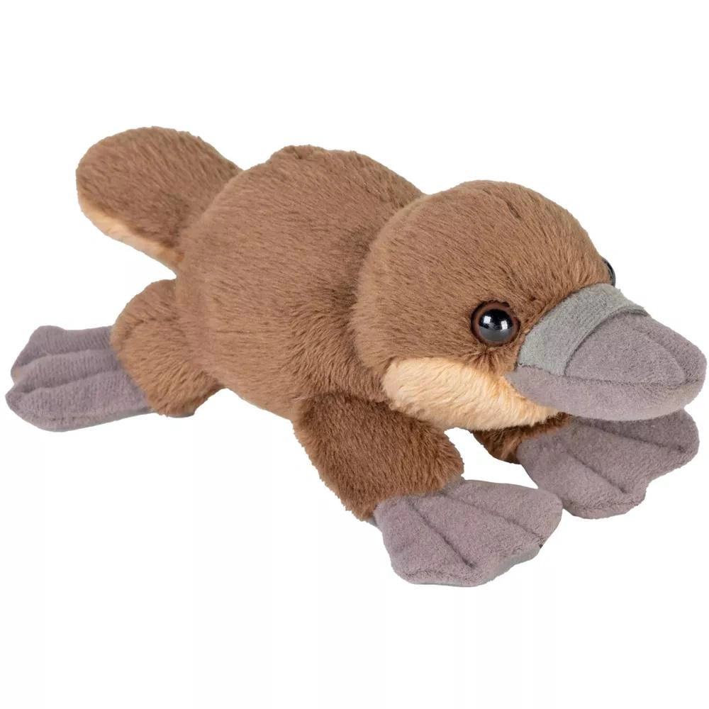 WILD POCKETKINS PLATYPUS