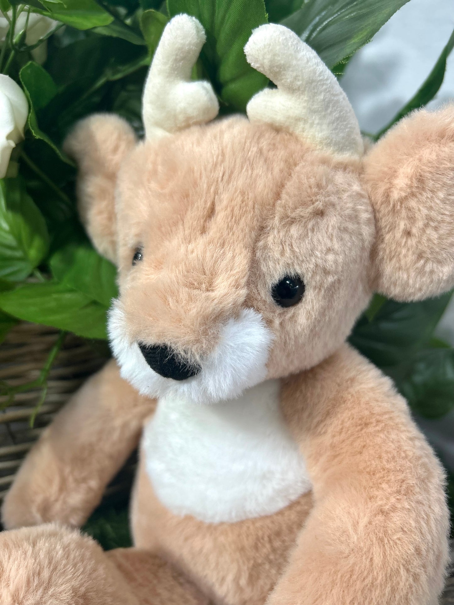 CB BEAR & ME FAWN DEER COOKIE DOUGH BROW