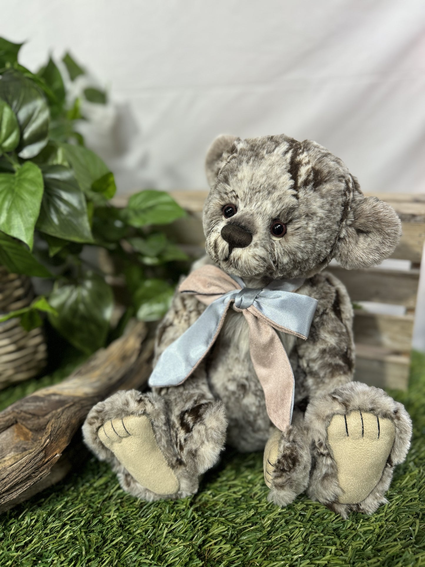 CHARLIE BEAR MO