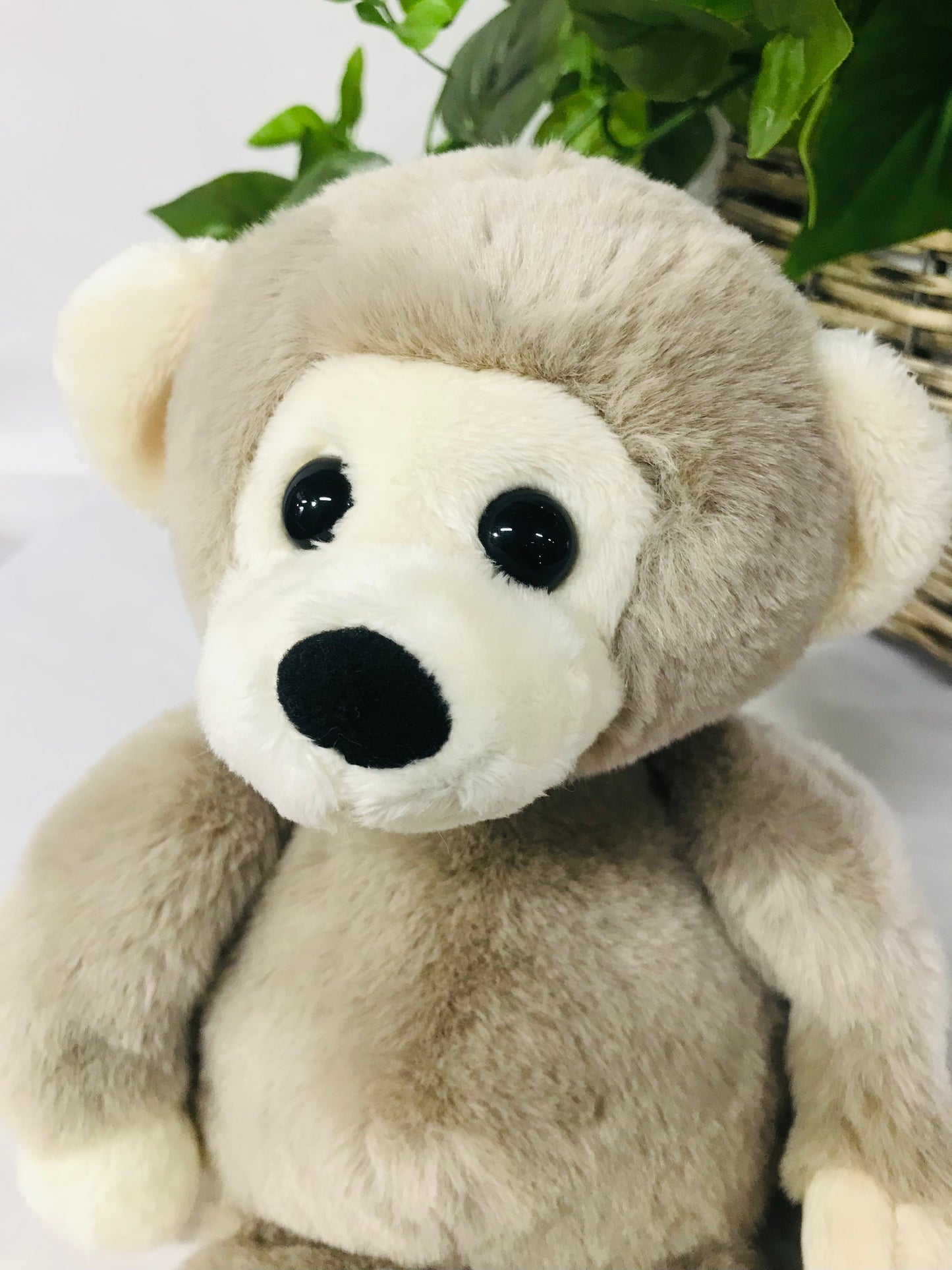 Cb Bear & Me Cheeky Monkey Pebble Grey