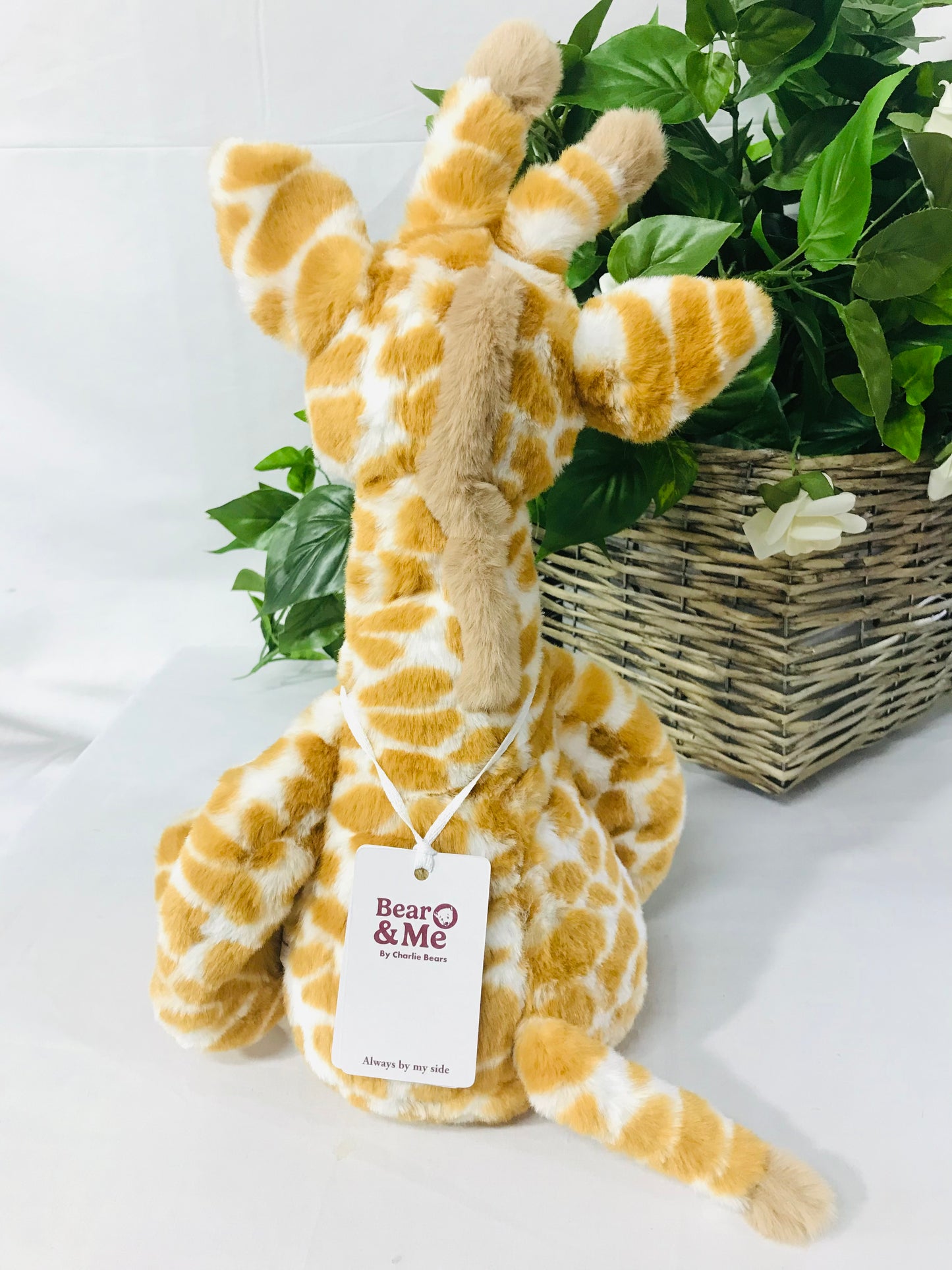 CB BEAR & ME GILBERT GIRAFFE
