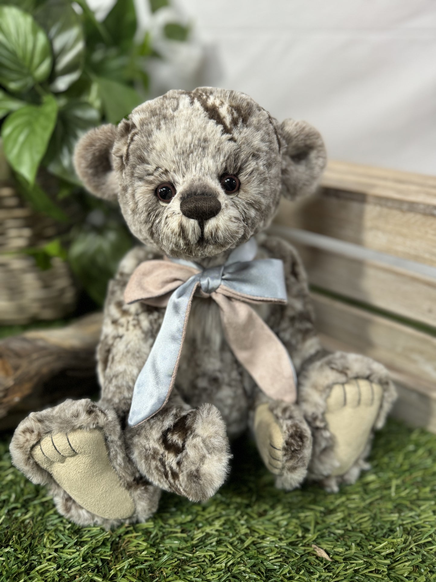 CHARLIE BEAR MO