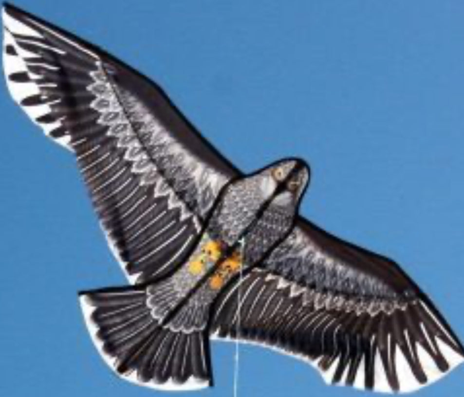 Ocean Breeze Kite Eagle