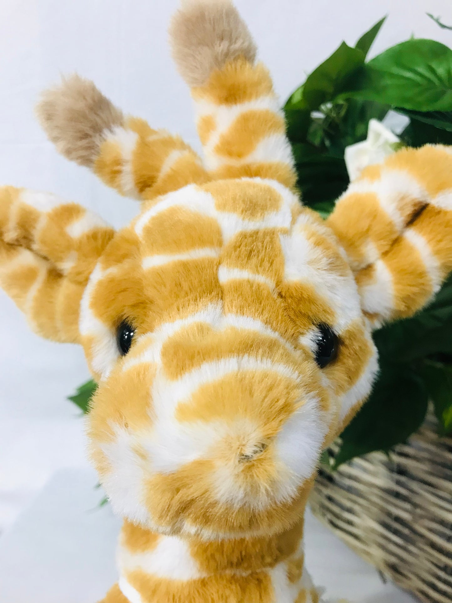 CB BEAR & ME GILBERT GIRAFFE