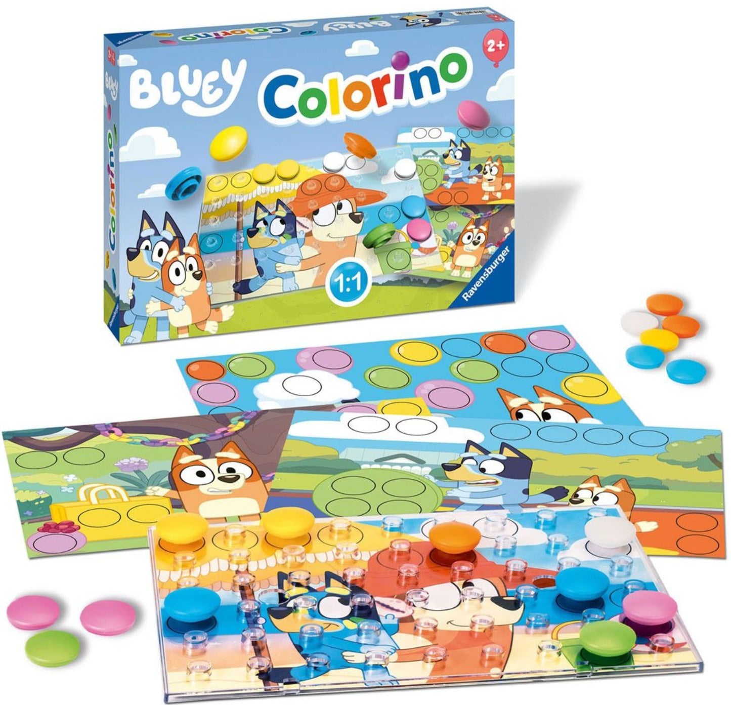 Bluey Colorino