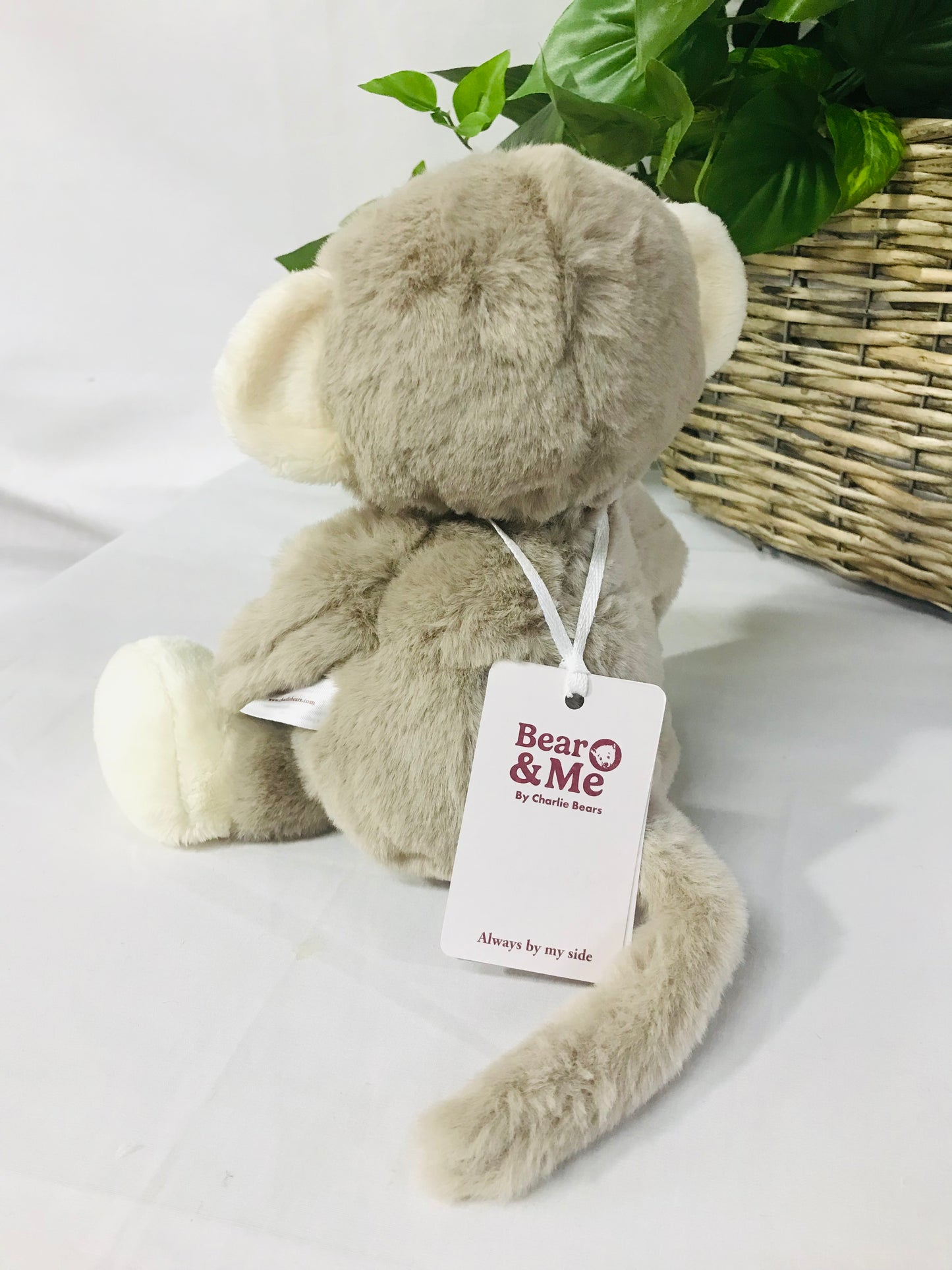 Cb Bear & Me Cheeky Monkey Pebble Grey