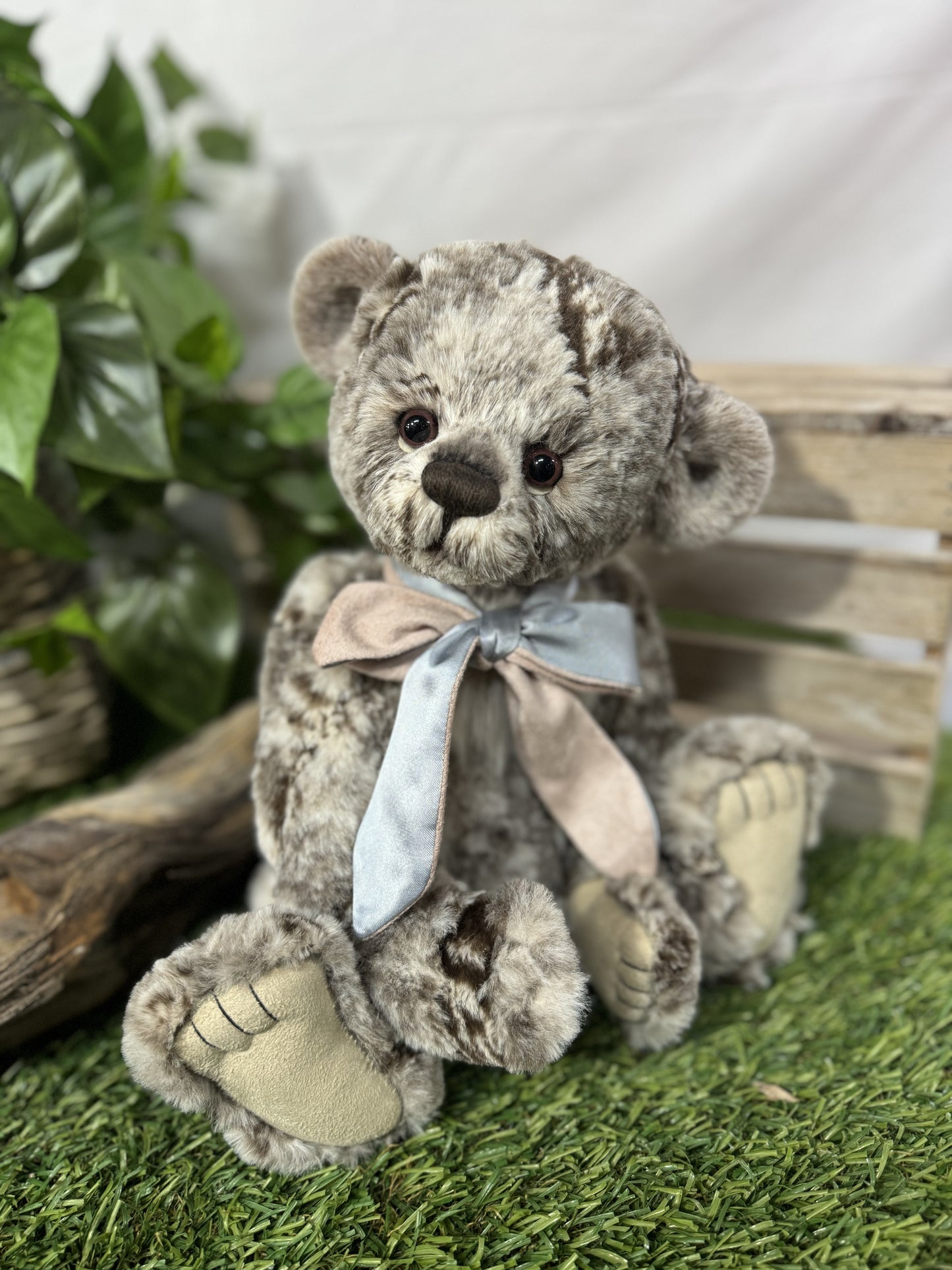 CHARLIE BEAR MO