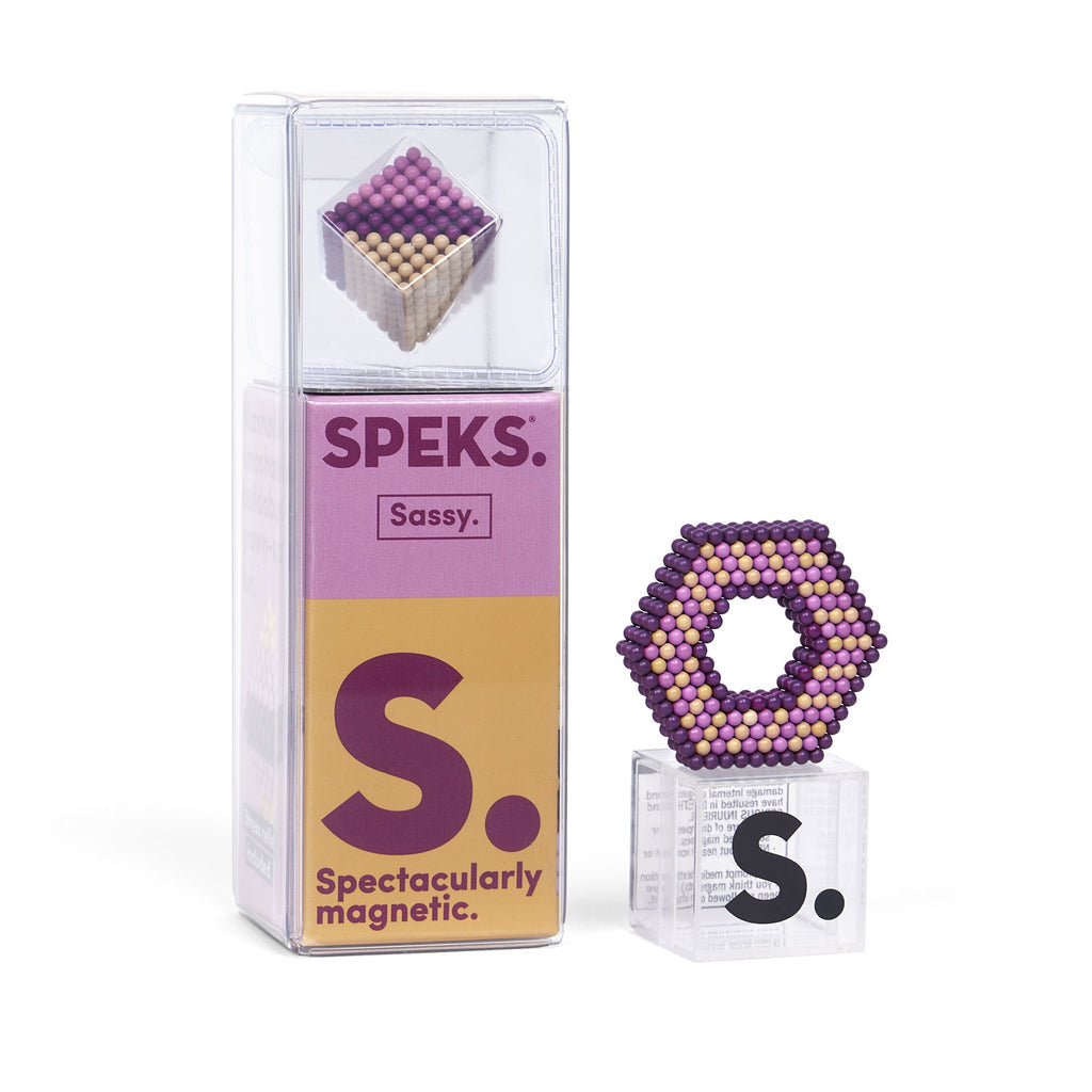 SPEKS 512 POWERFUL RARE EARTH MAGNETS AS