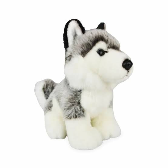 PLUSH LIL FRIEND HUSKY