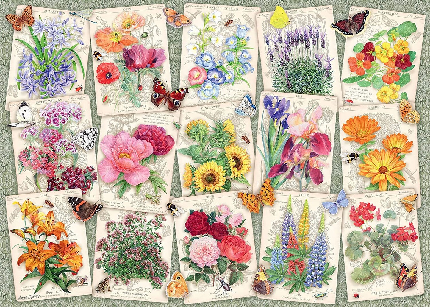 PUZZLE 1000PC COTTAGE GARDEN FAVOURITE N