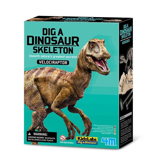 4M Dig A Dinosaur Velociraptor