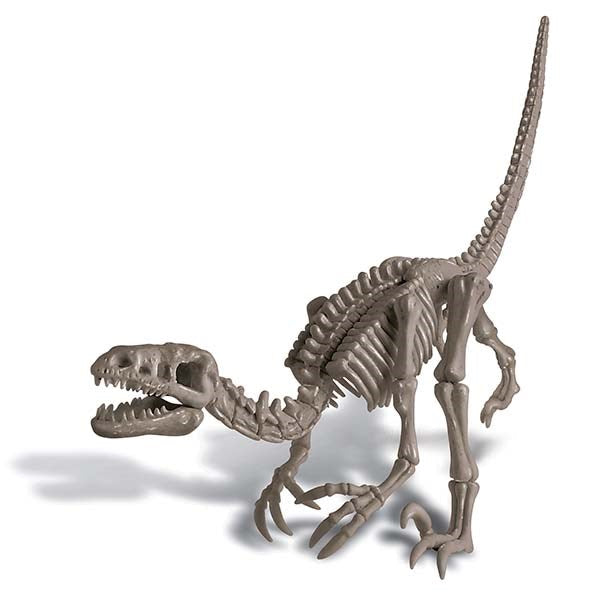 4M Dig A Dinosaur Velociraptor
