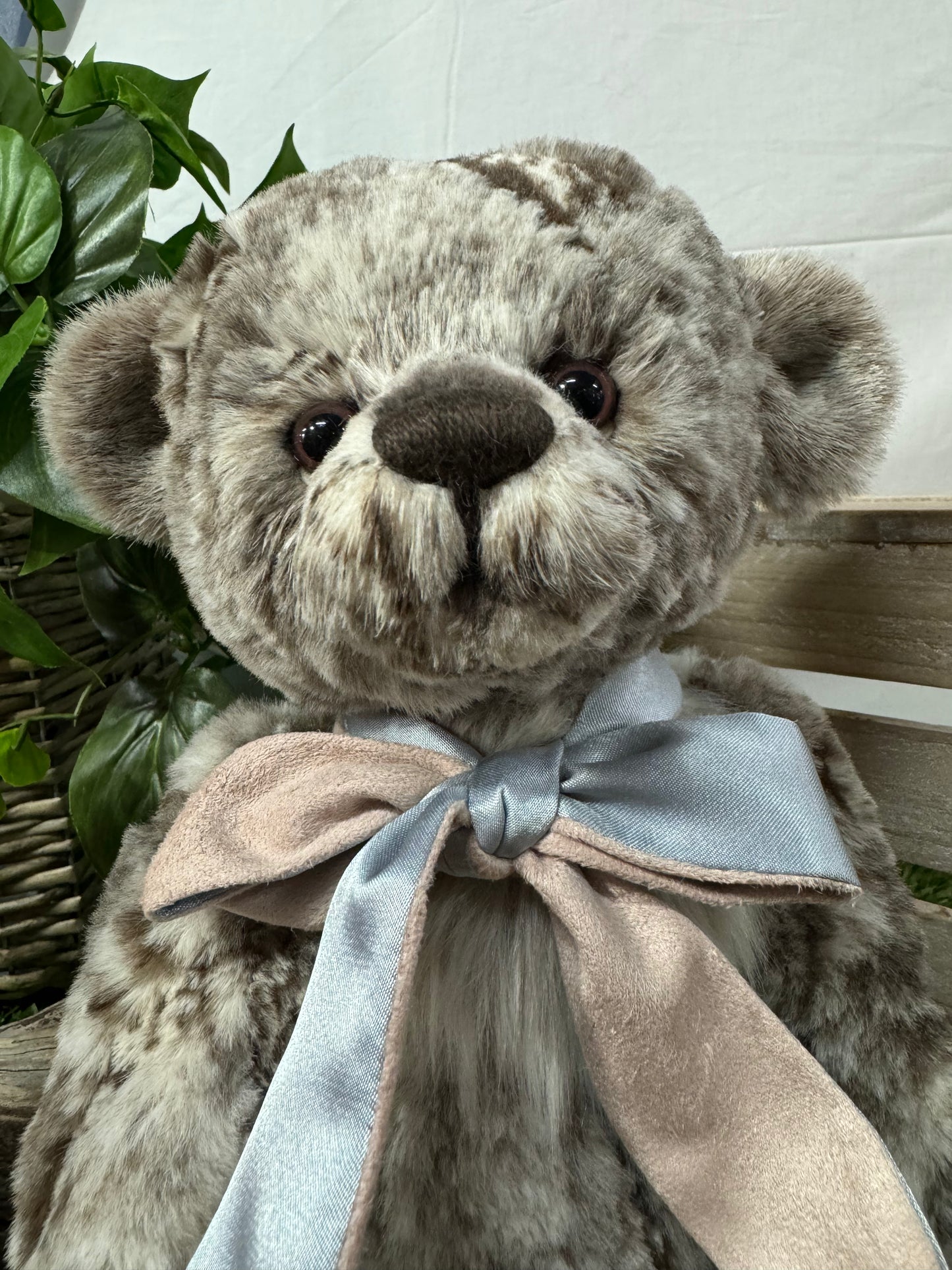 CHARLIE BEAR MO