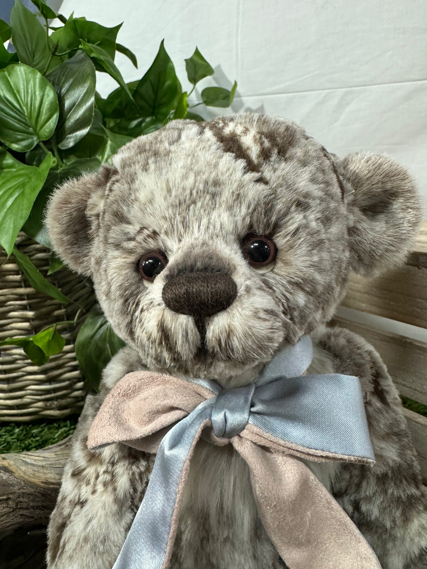 CHARLIE BEAR MO