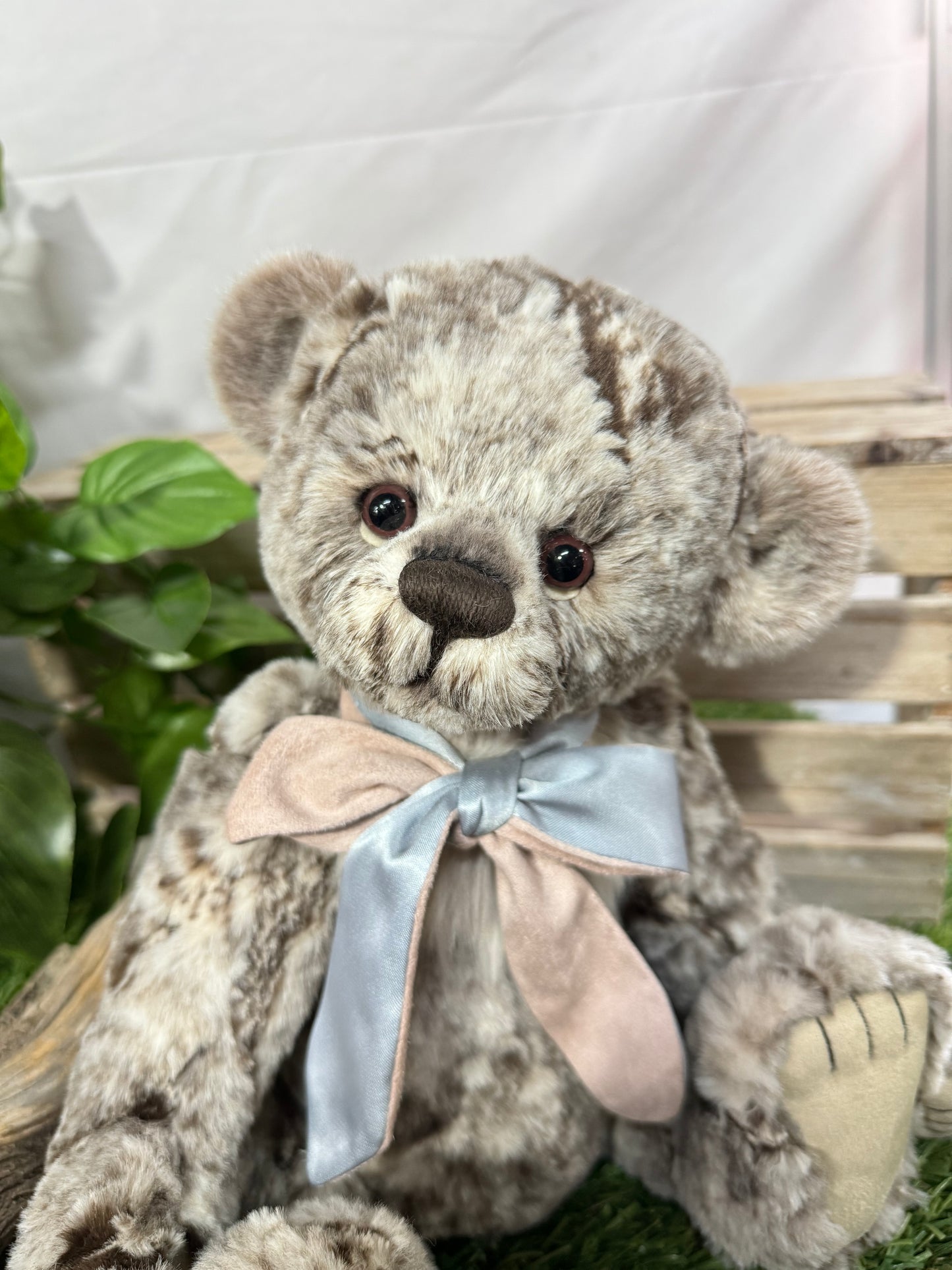 CHARLIE BEAR MO