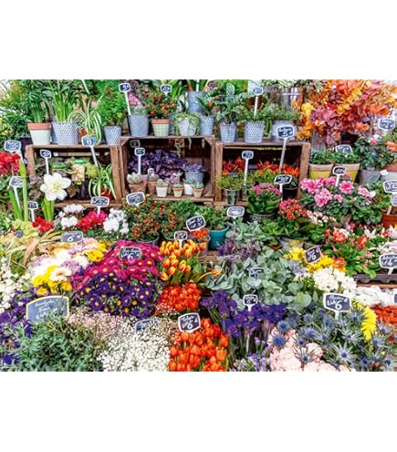 PUZZLE 500PC FLOWER MARKET FRANCE
