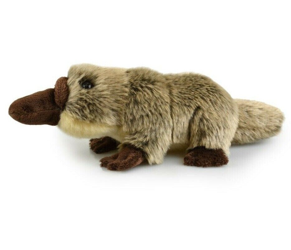 PLUSH LIL FRIEND PLATYPUS