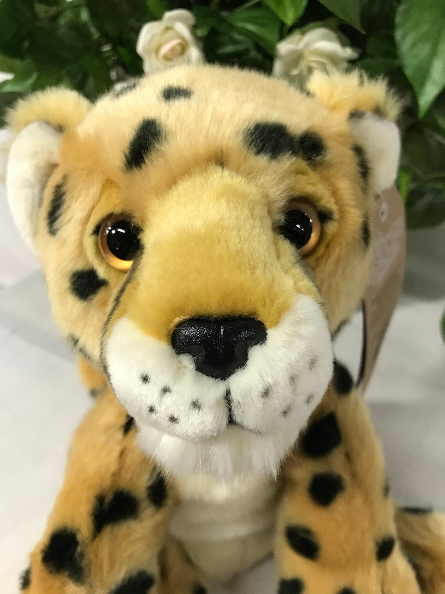 PLUSH LIL FRIEND CHEETAH 30CM