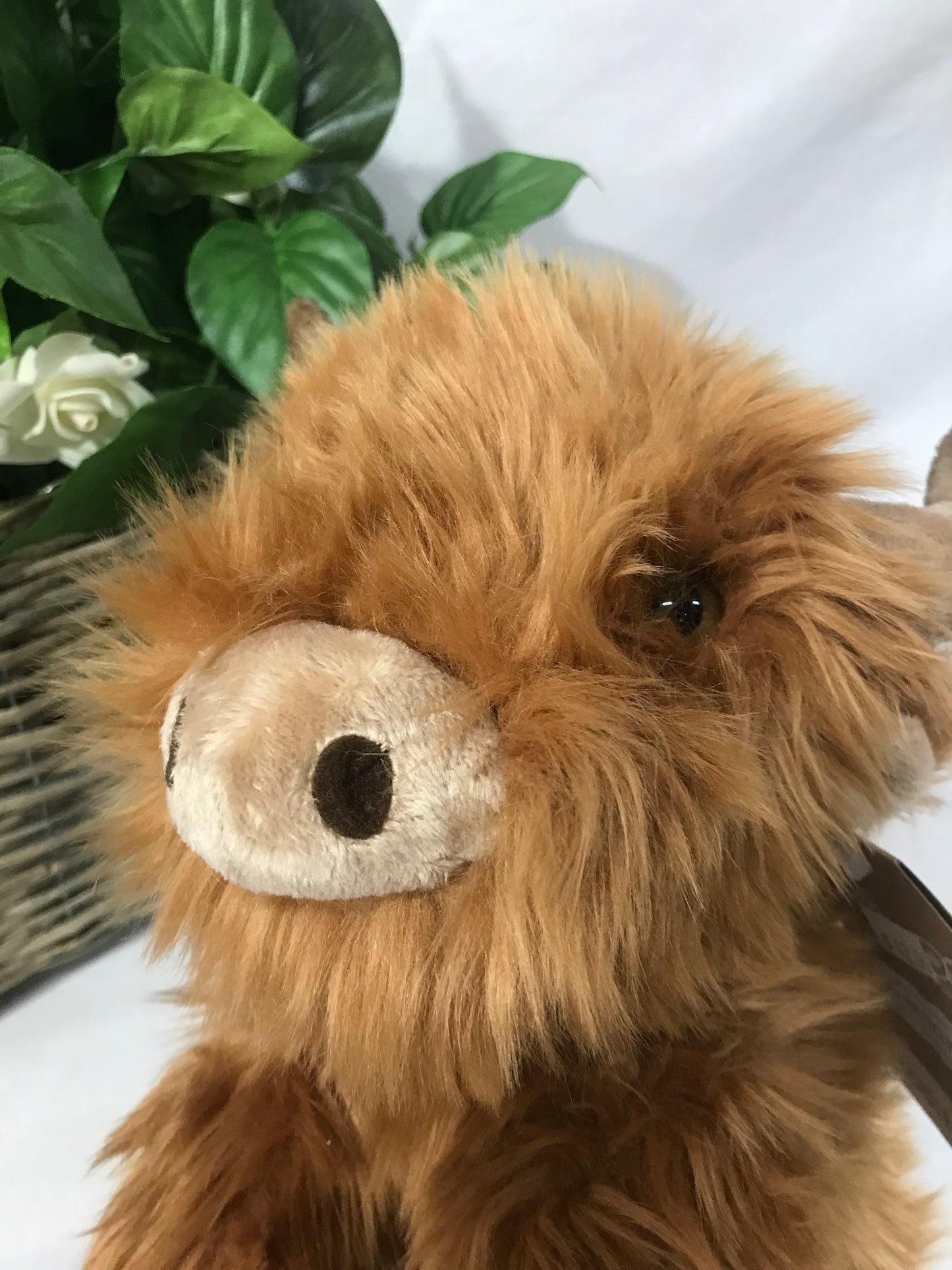 PLUSH LIL FRIEND HIGHLAND COW 30CM