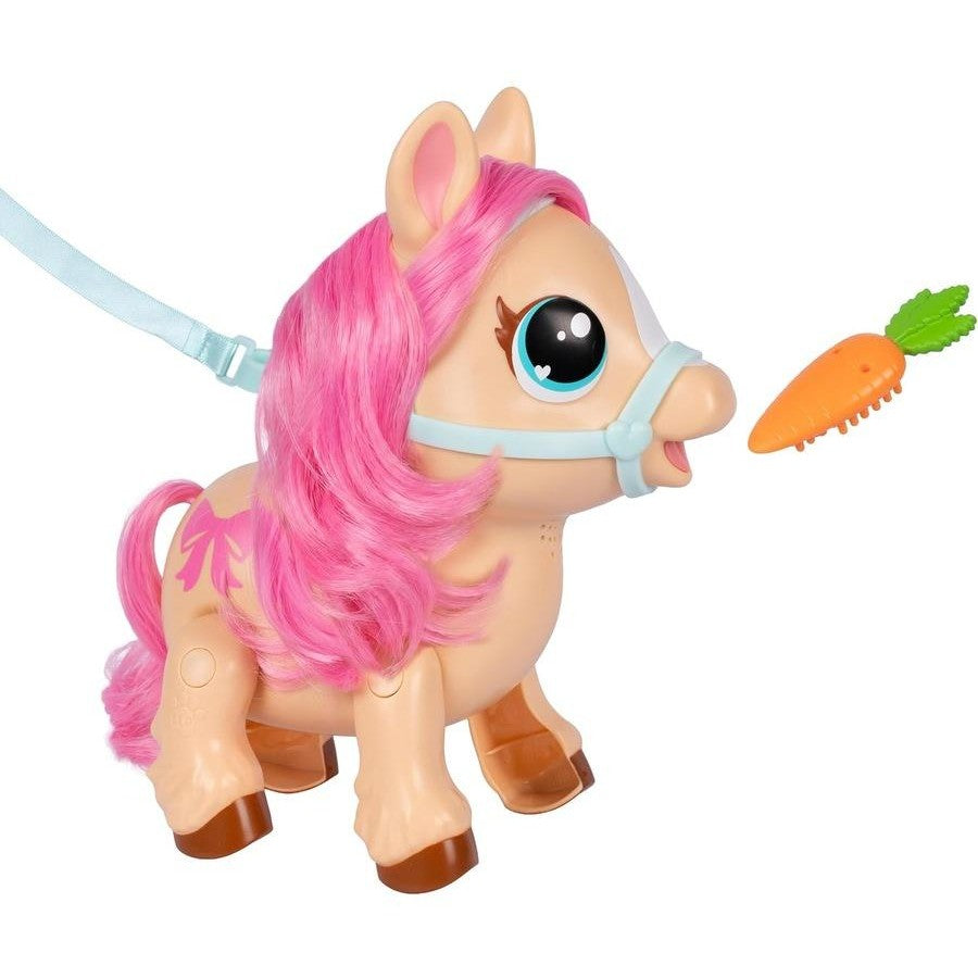LLP MY WALKING PONY