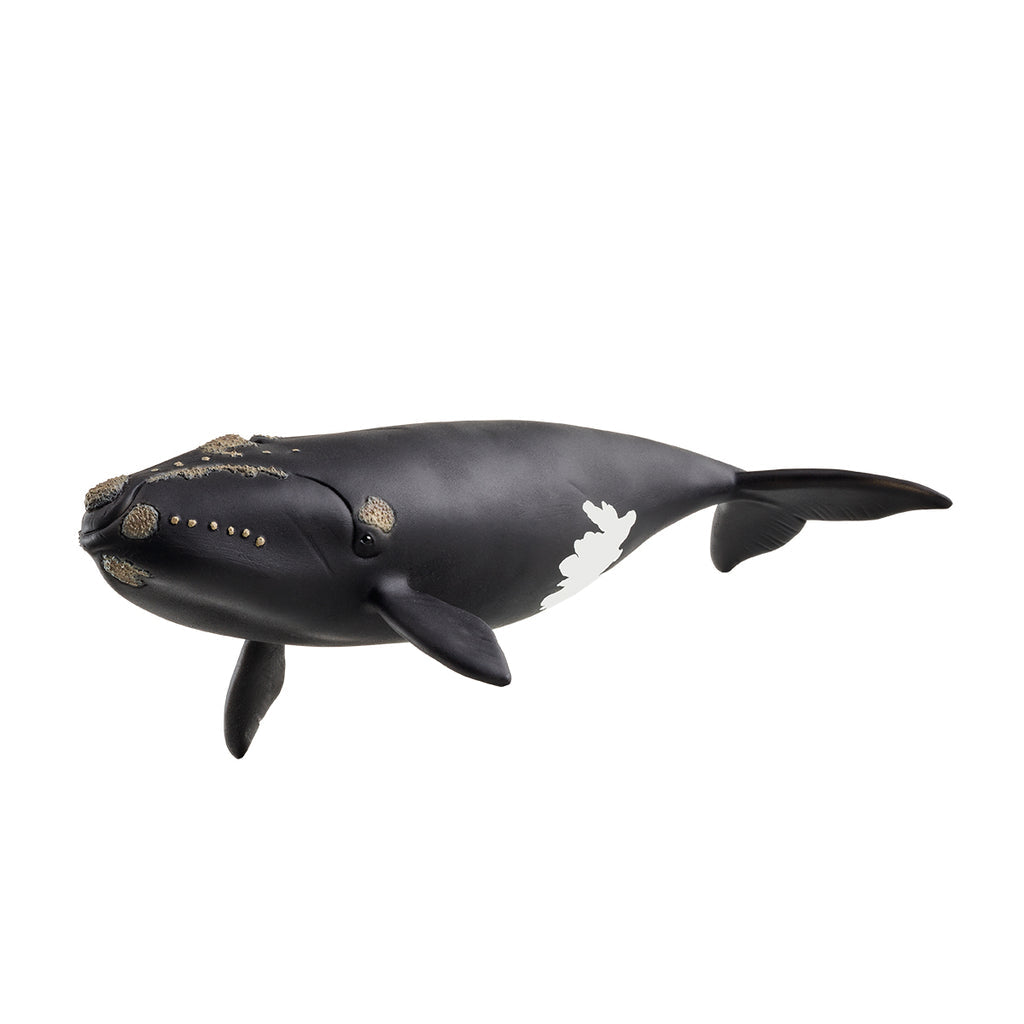 SCHLEICH 14878 NTH ATLANTIC RIGHT WHALE