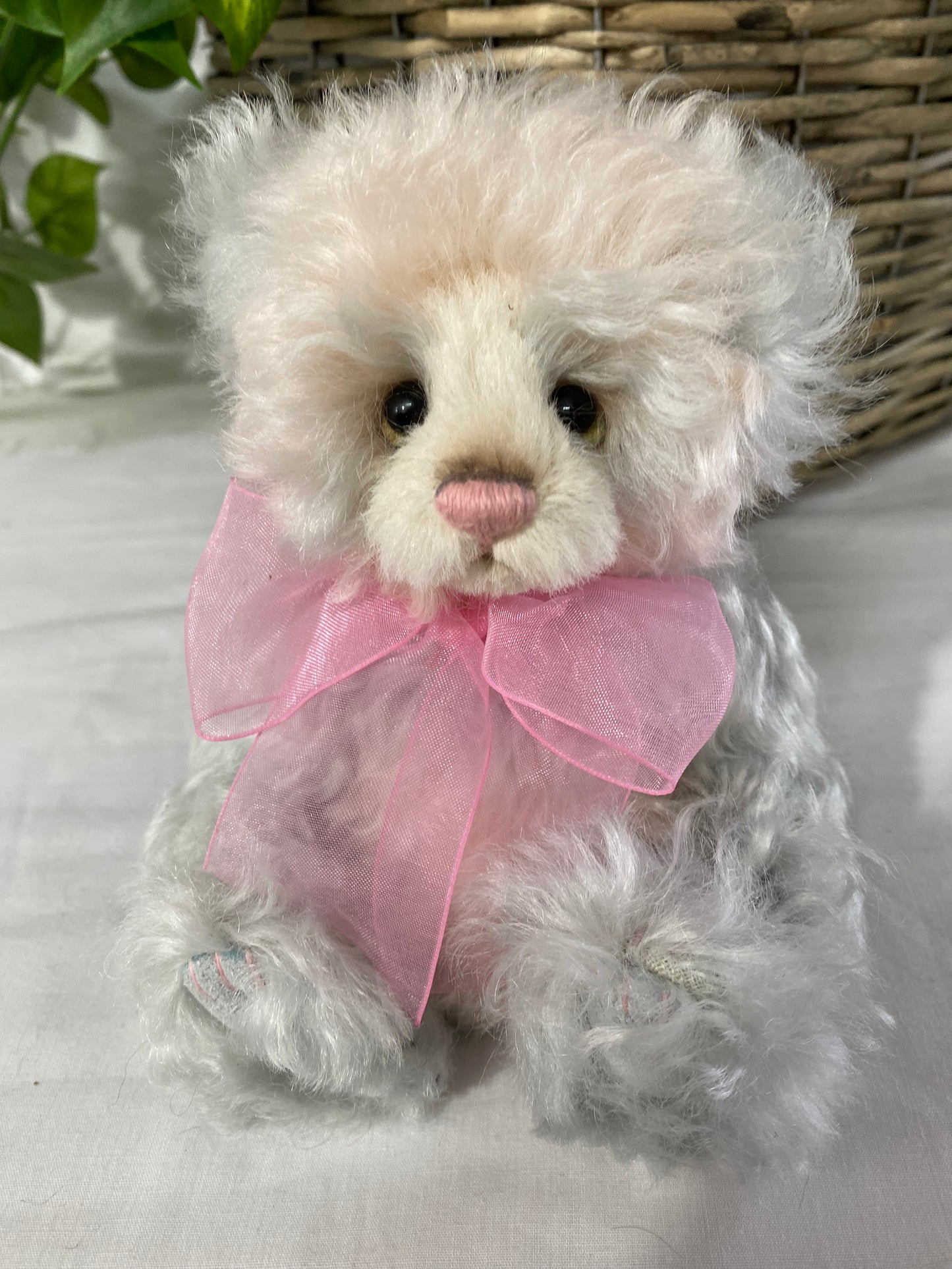 Cb Secret Collection Minimo July