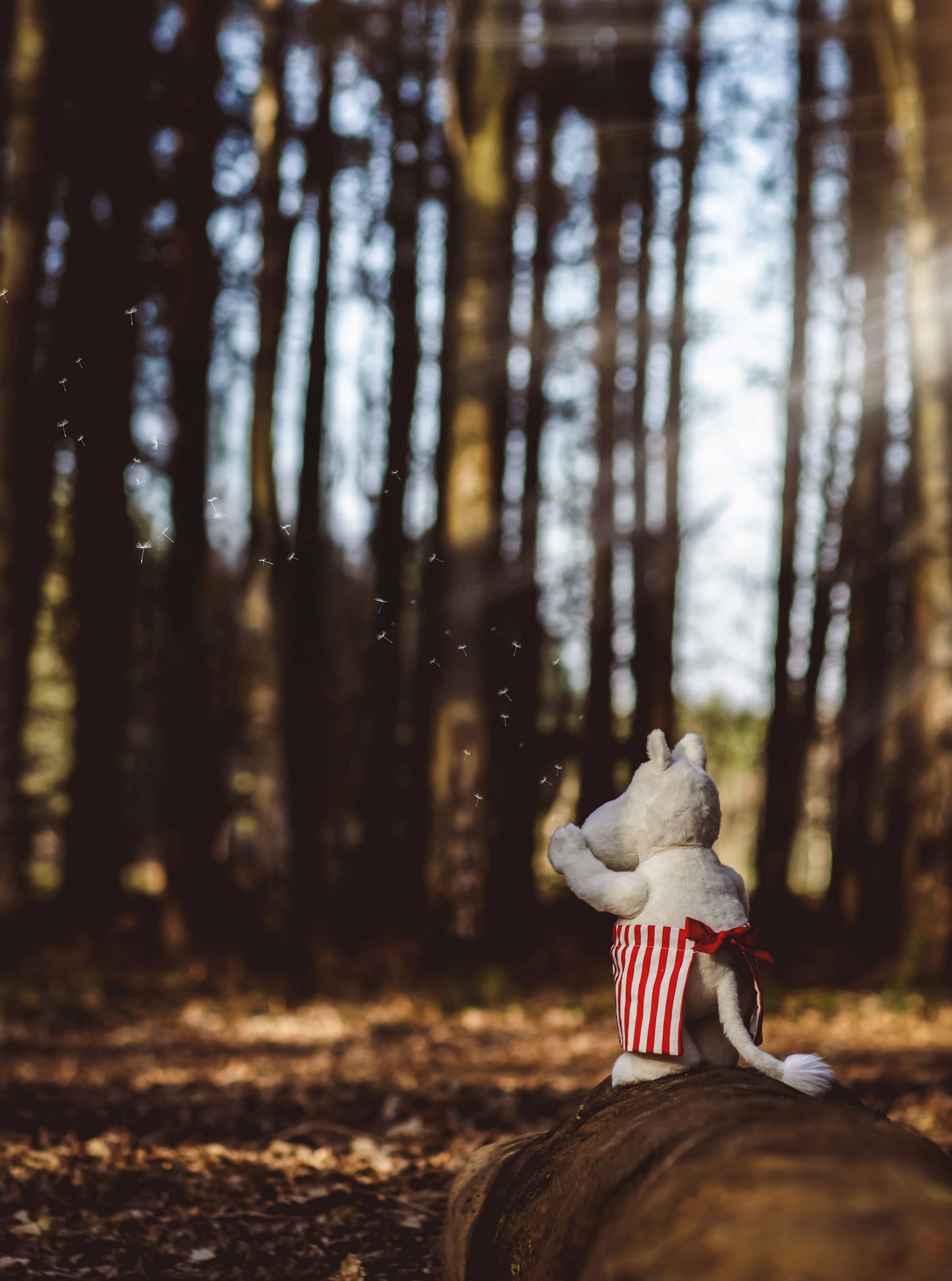 2025 CHARLIE SIGNATURE BEAR MOOMINMAMMA
