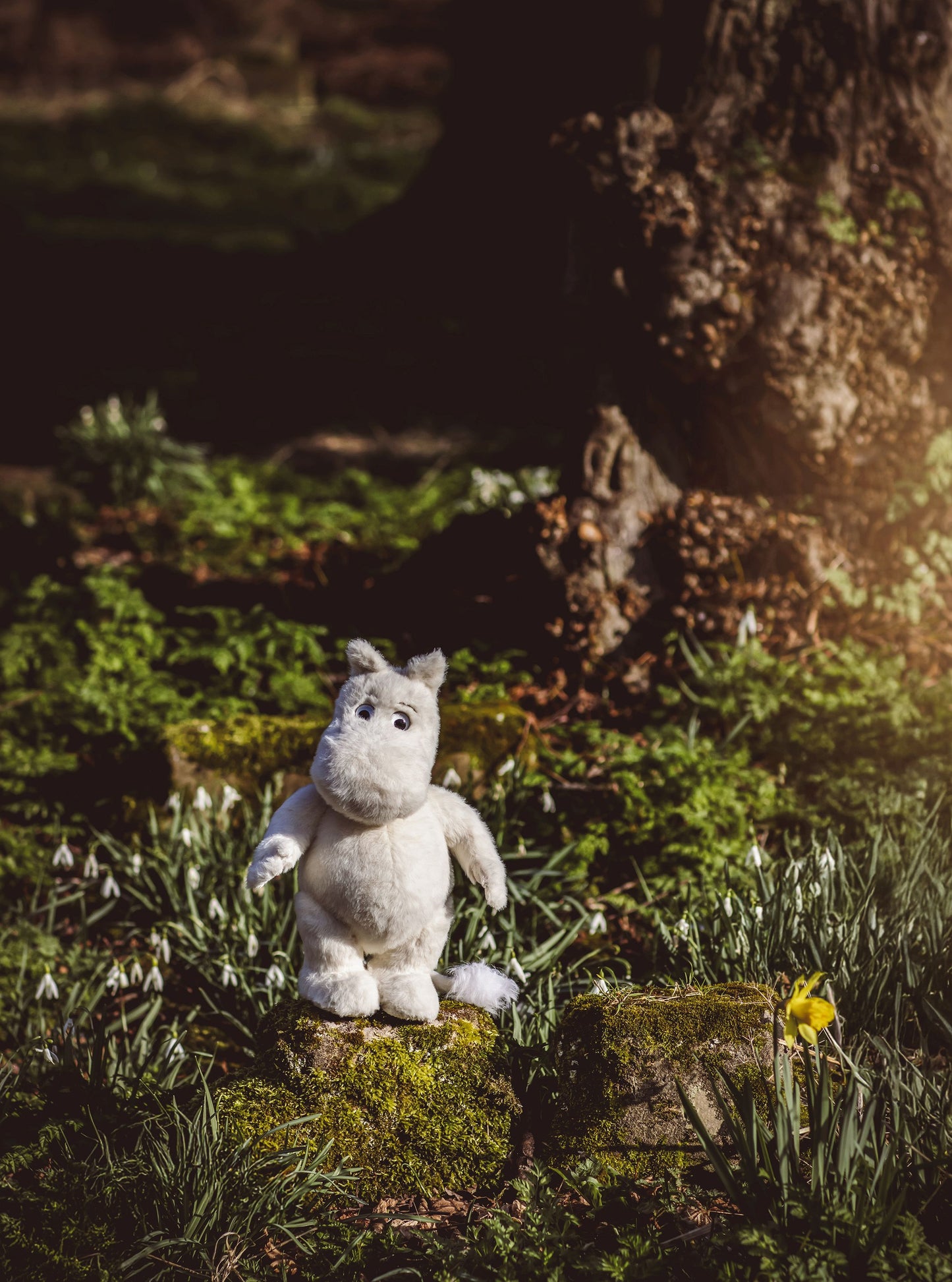 2025 CHARLIE SIGNATURE BEAR MOOMINTROLL
