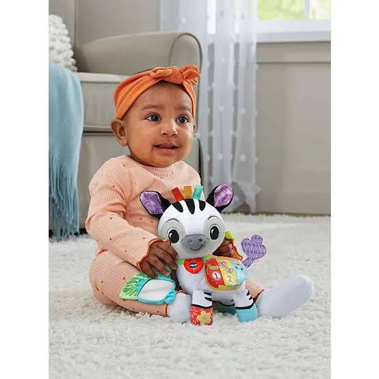 Vtech Baby On The Go Soft Zebra