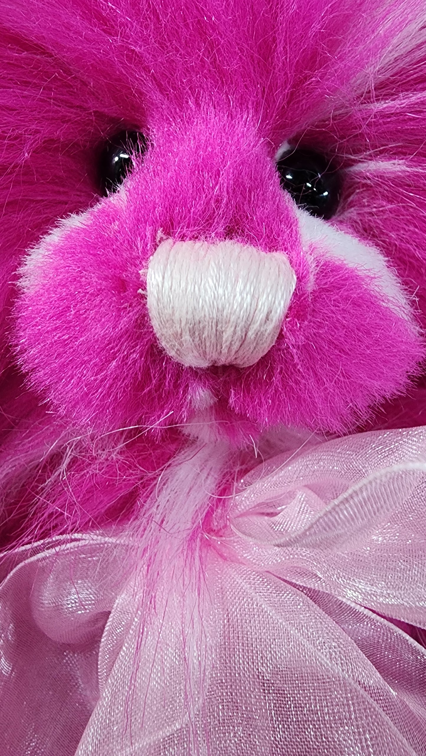 2025 CHARLIE BEARS RASPBERRY RIPPLE