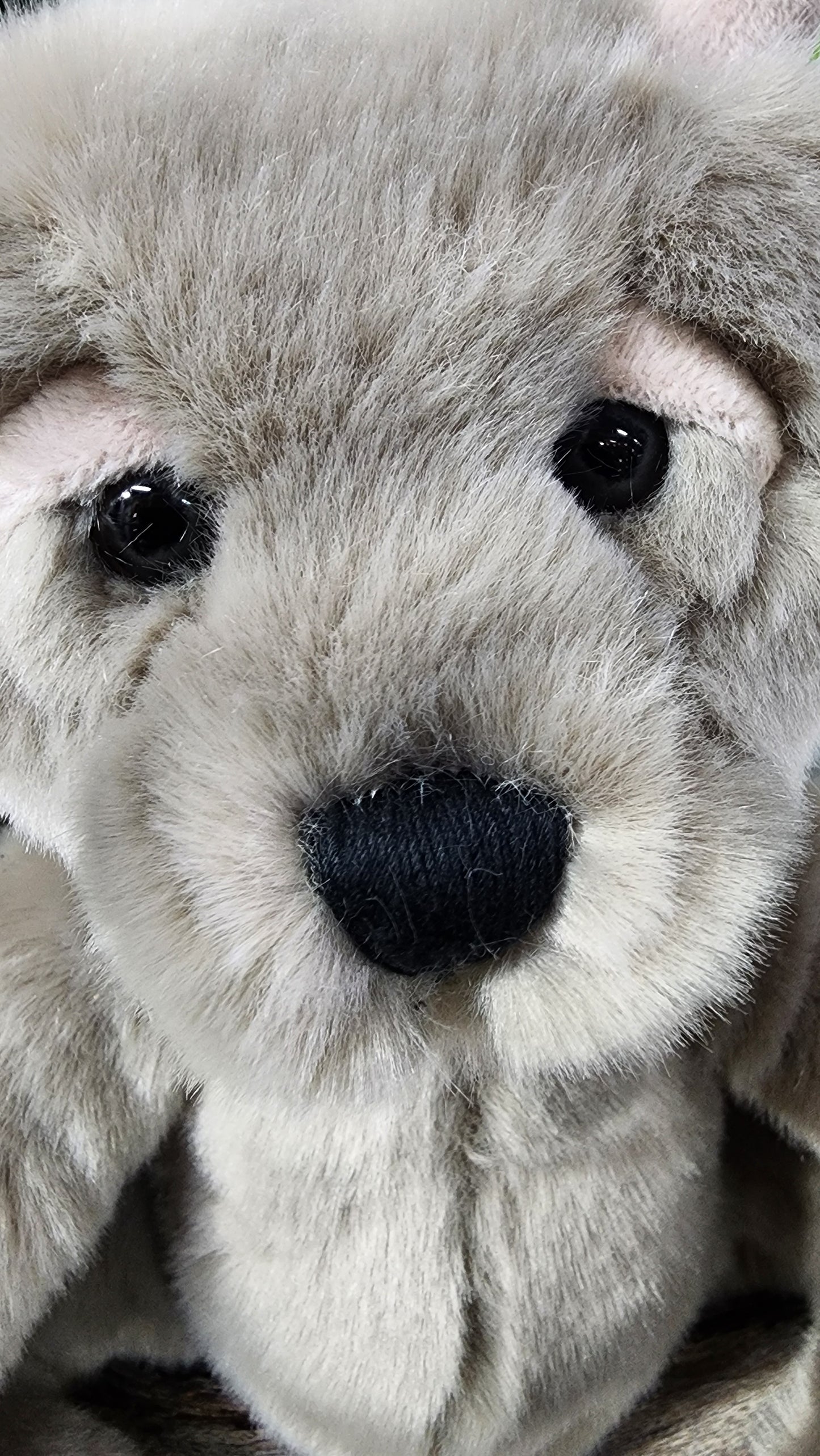 CHARLIE BEAR BEARHOUSE MOAT