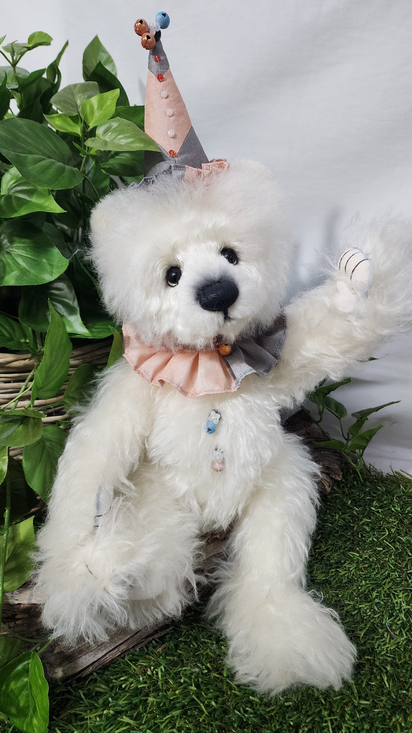 2025 ISABELLE COLLECTION COLVIG