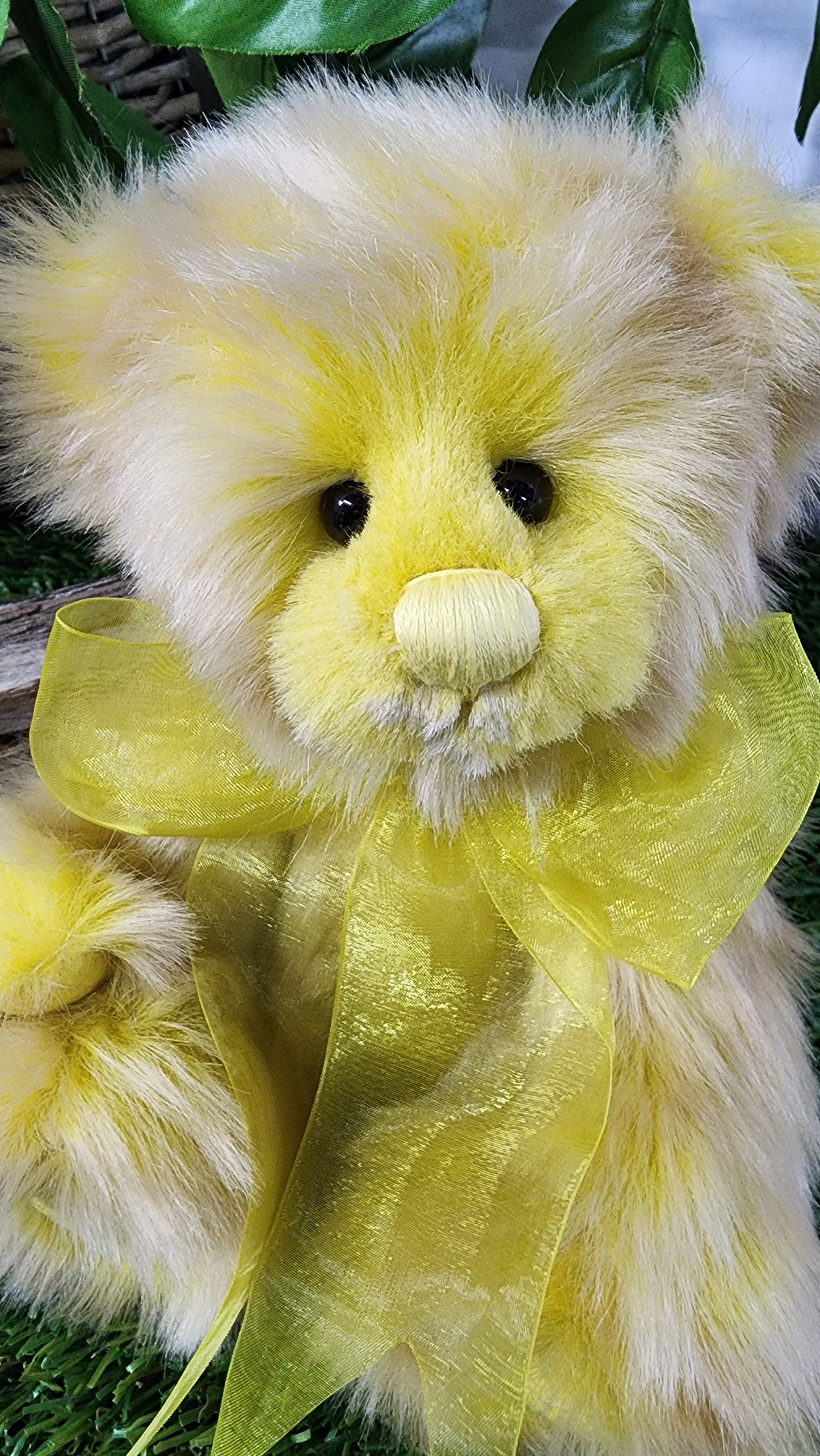 2025 CHARLIE BEARS FRIDAY