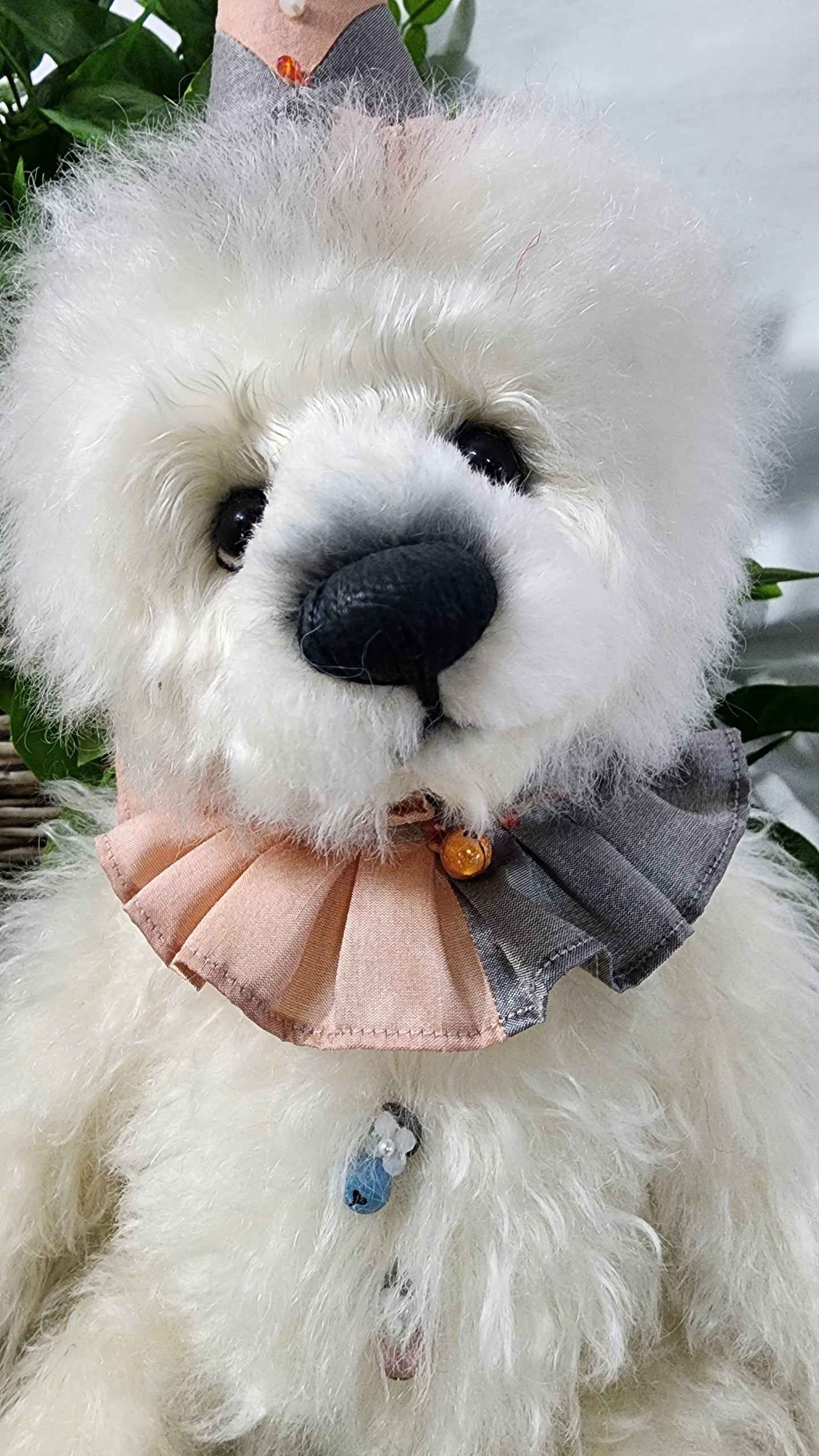 2025 ISABELLE COLLECTION COLVIG
