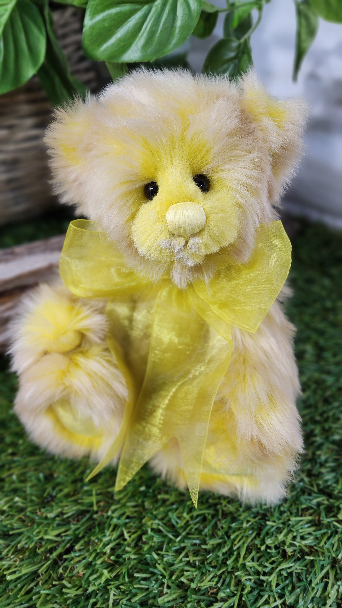 2025 CHARLIE BEARS FRIDAY