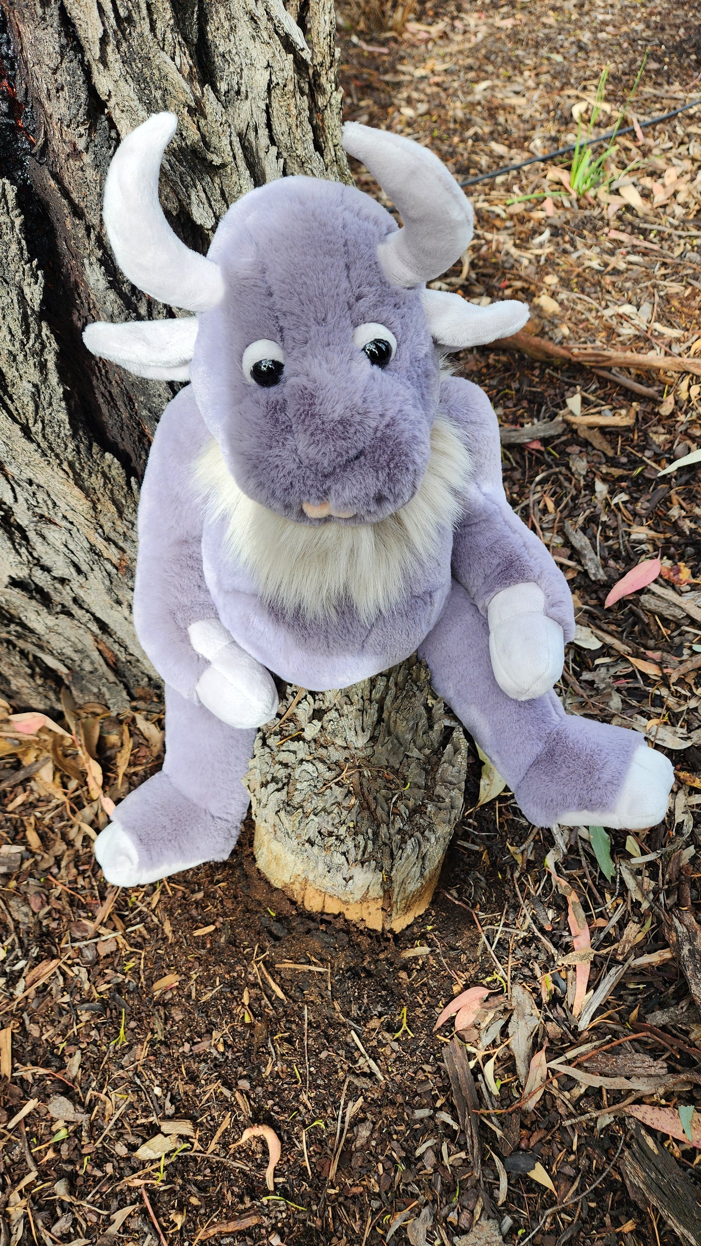 2025 CHARLIE BEARS BEARHOUSE COBBLESTONE