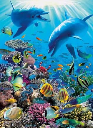 PUZZLE 300PC UNDERWATER ADVENTURE
