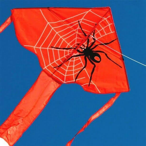 Ocean Breeze Kite Spider Delta