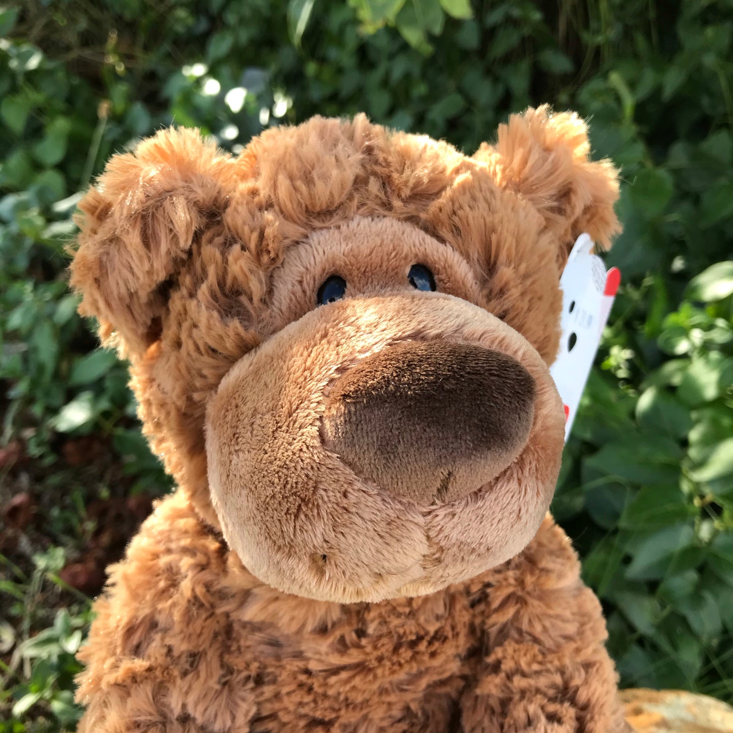 GUND BEAR GRAHN 30.5CM BROWN